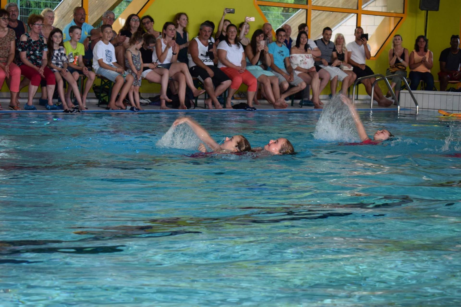 35955142_2566100330281721_2791503750538199040_o