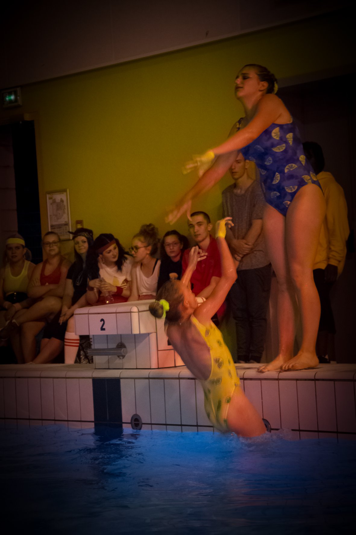 36189245_2135333456494410_8646521013758066688_o