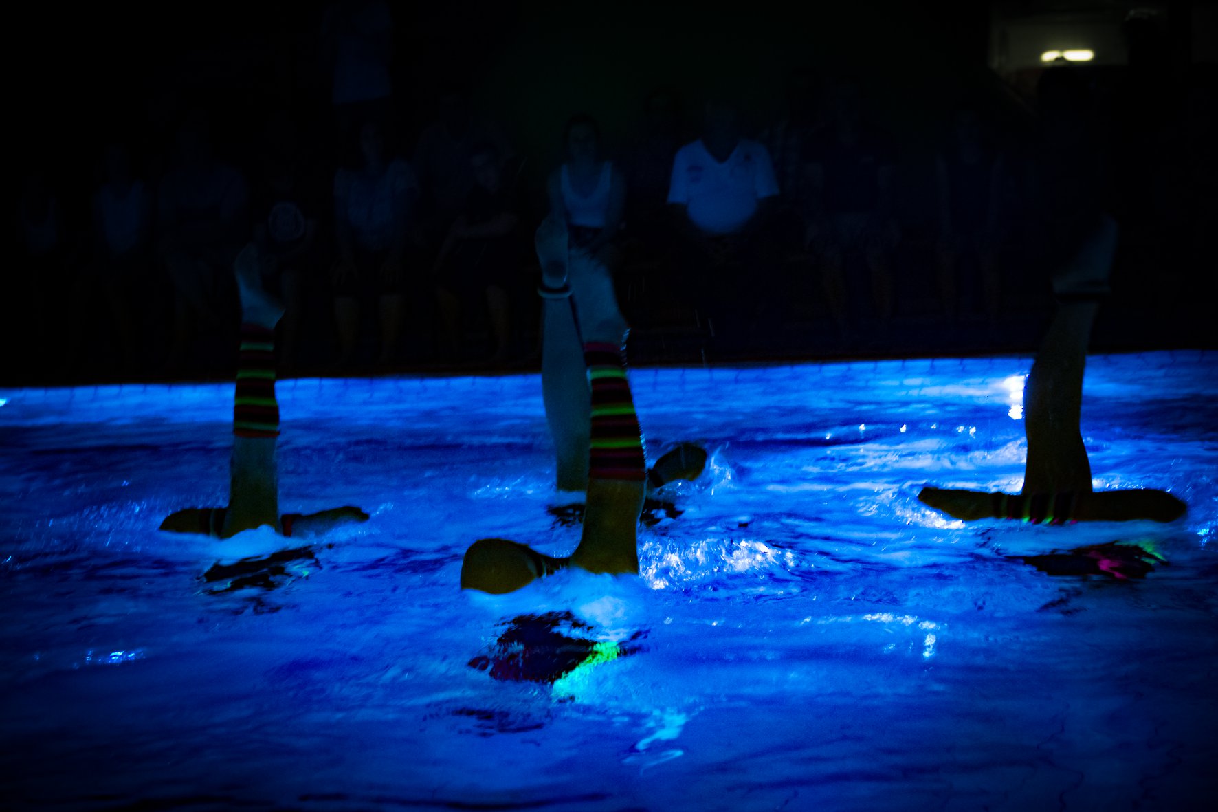 36594252_2148213755206380_751769669374836736_o