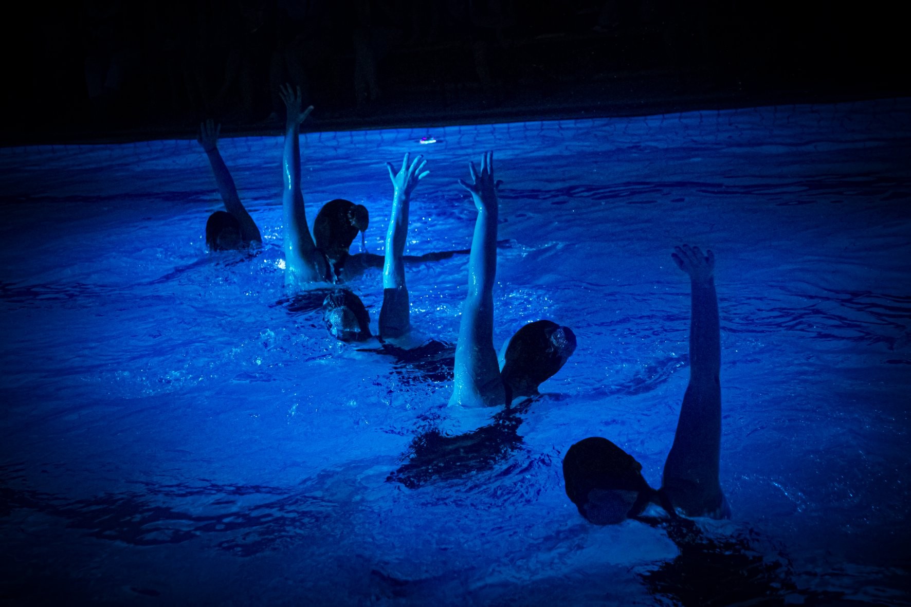 69498287 2846788685348880 560985534164369408 o